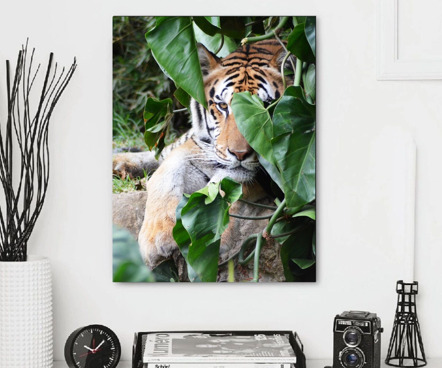 Tiger s Classic Framed Canvas
