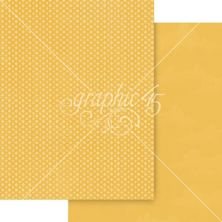 Graphic 45 Patterns & Solids Collection Pack 8.5"X11"-Wonder Of Oz