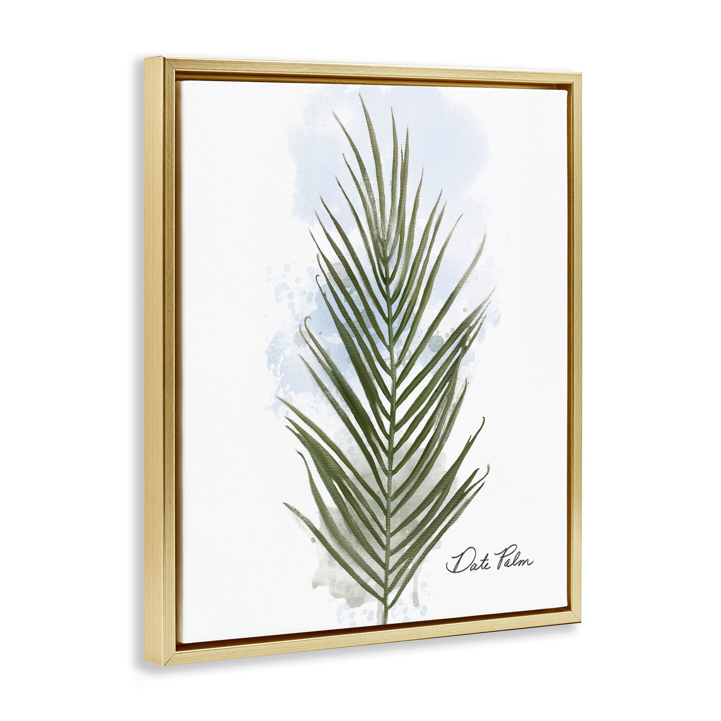 Stupell Industries Modern Date Palm Leaf Floating Frame By Matthew Piotrowicz