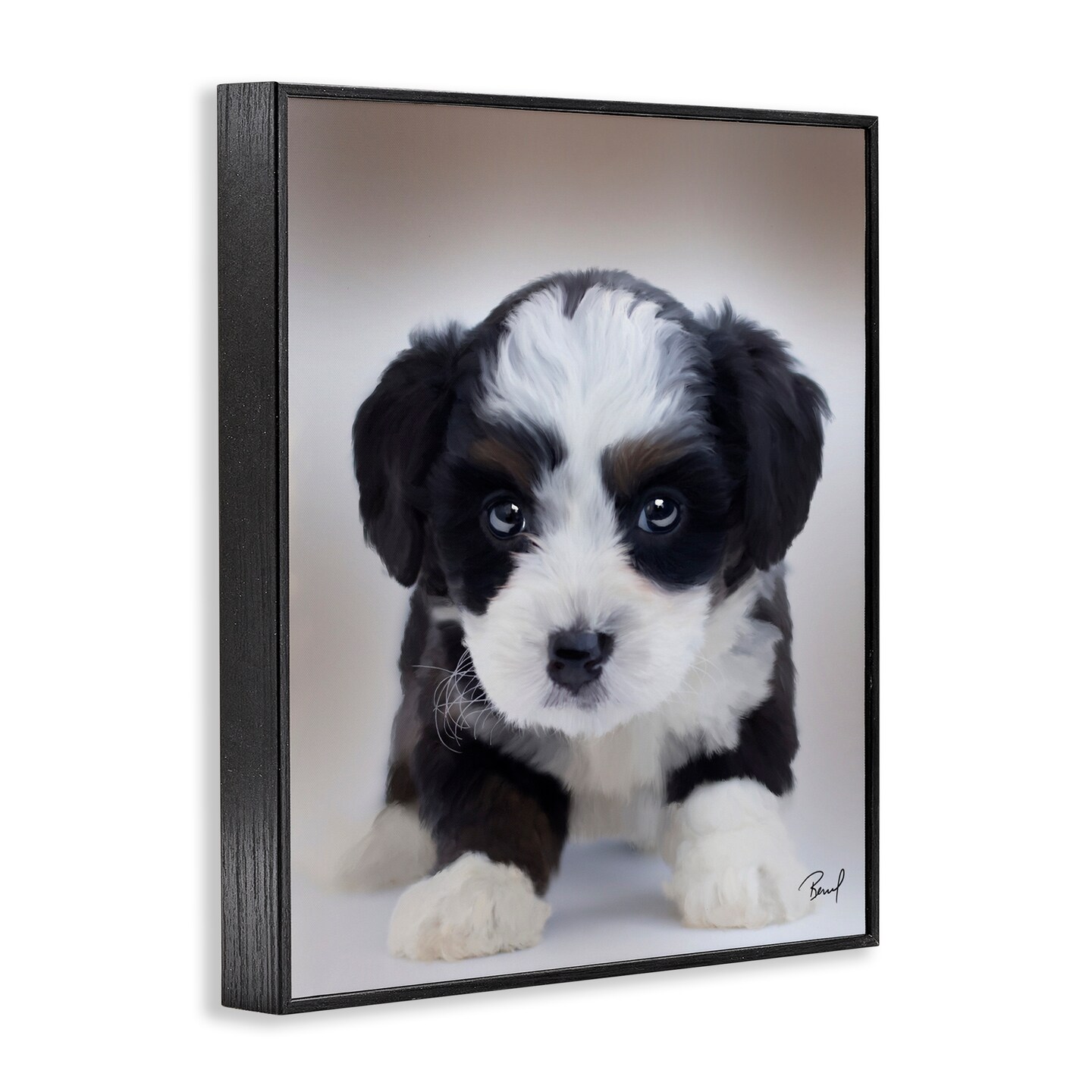 Stupell Industries Fluffy Bernedoodle Puppy Framed Giclee By Renel Peters