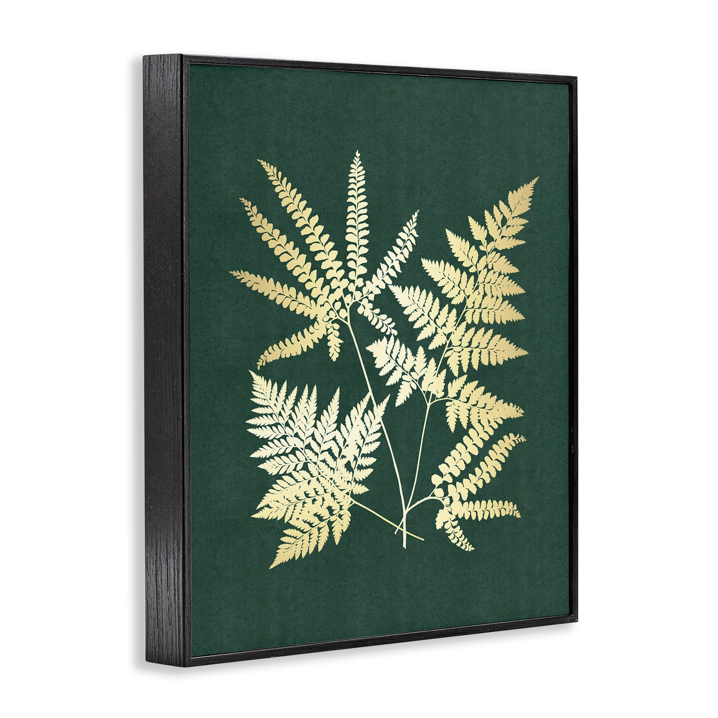 Stupell Industries Gilded Fern Leaves Framed Giclee Wall Art Design by JJ Design House LLC