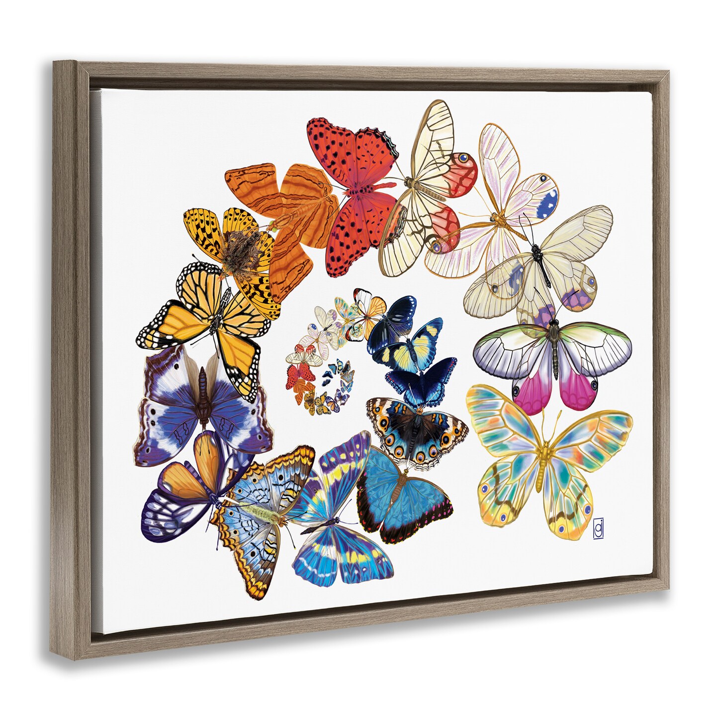 Stupell Industries Flying Butterfly Spiral Framed Floater Canvas Wall Art Design by Ann Jasperson