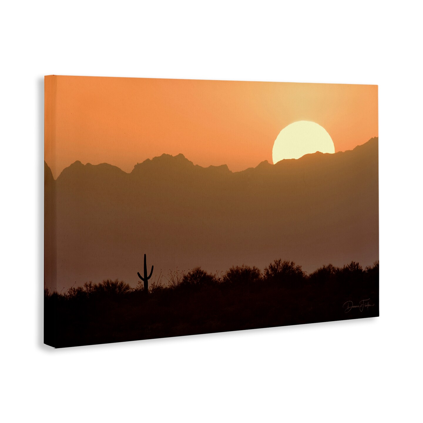 Stupell Industries Sunlit Desert Cactus Canvas Wall Art Design by Dennis Frates
