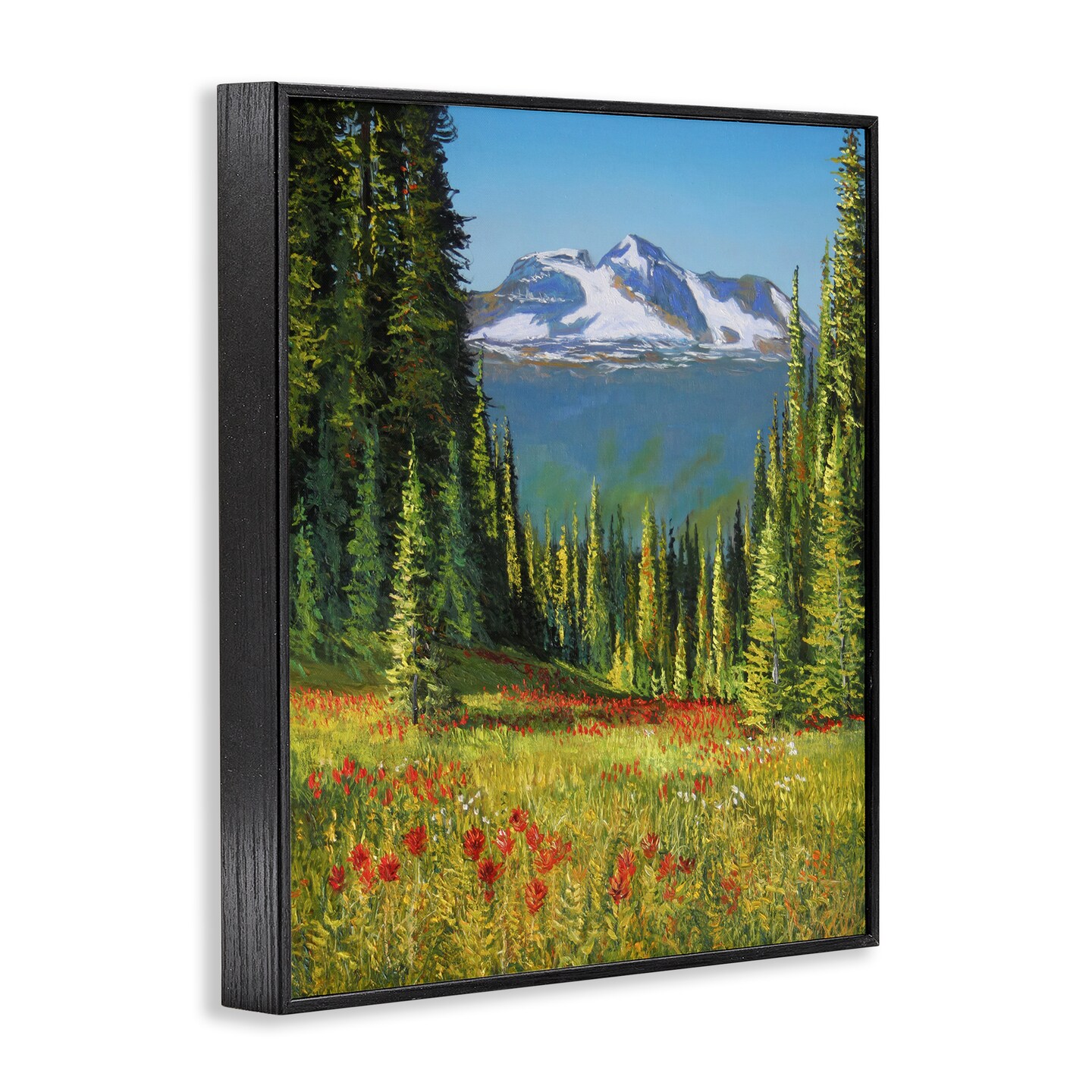 Stupell Industries Alpine Valley Meadow Framed Giclee Wall Art Design by Andrew Kiss