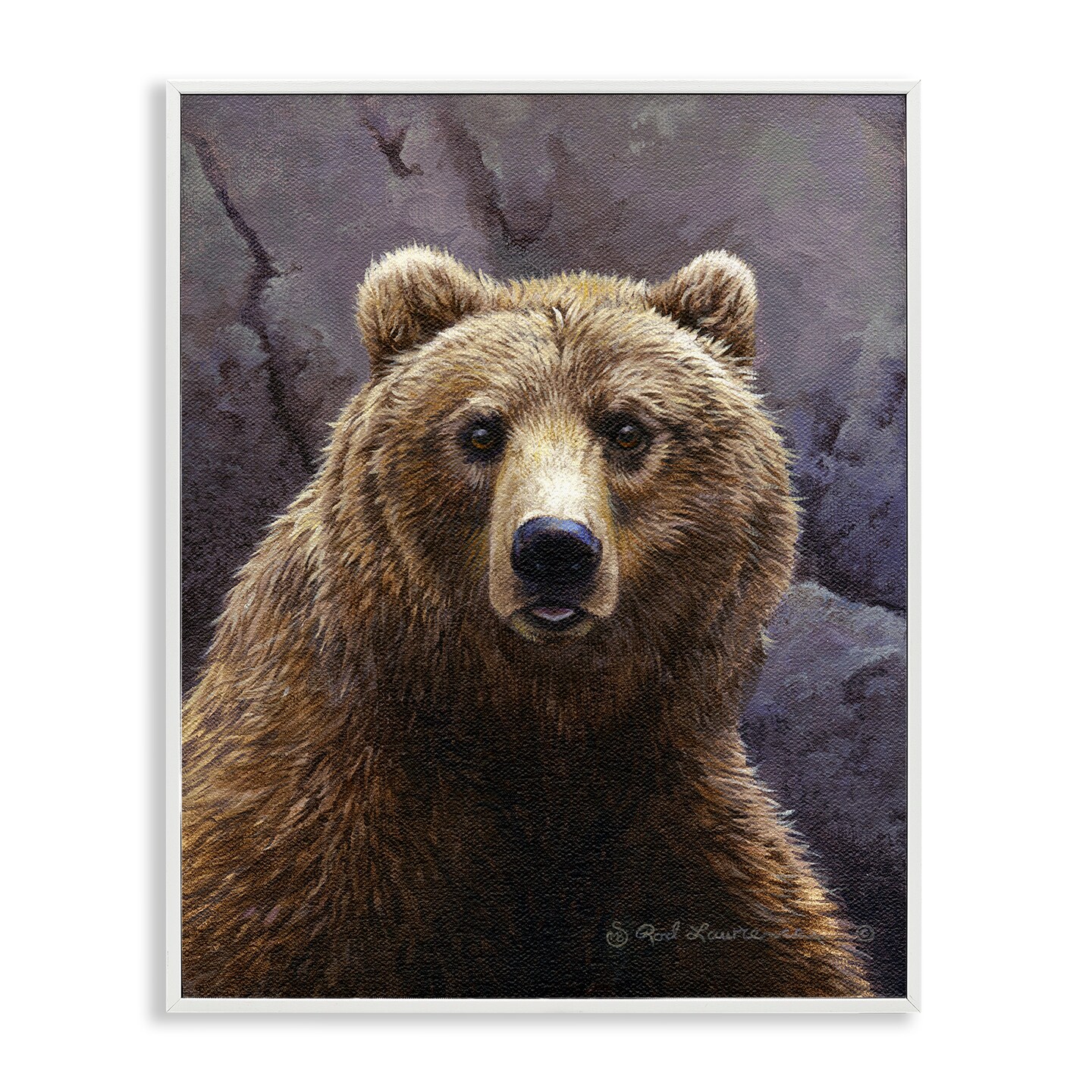 Stupell Industries Surprised Bear Portrait Framed Giclee Wall Art Design by Rod Lawrence