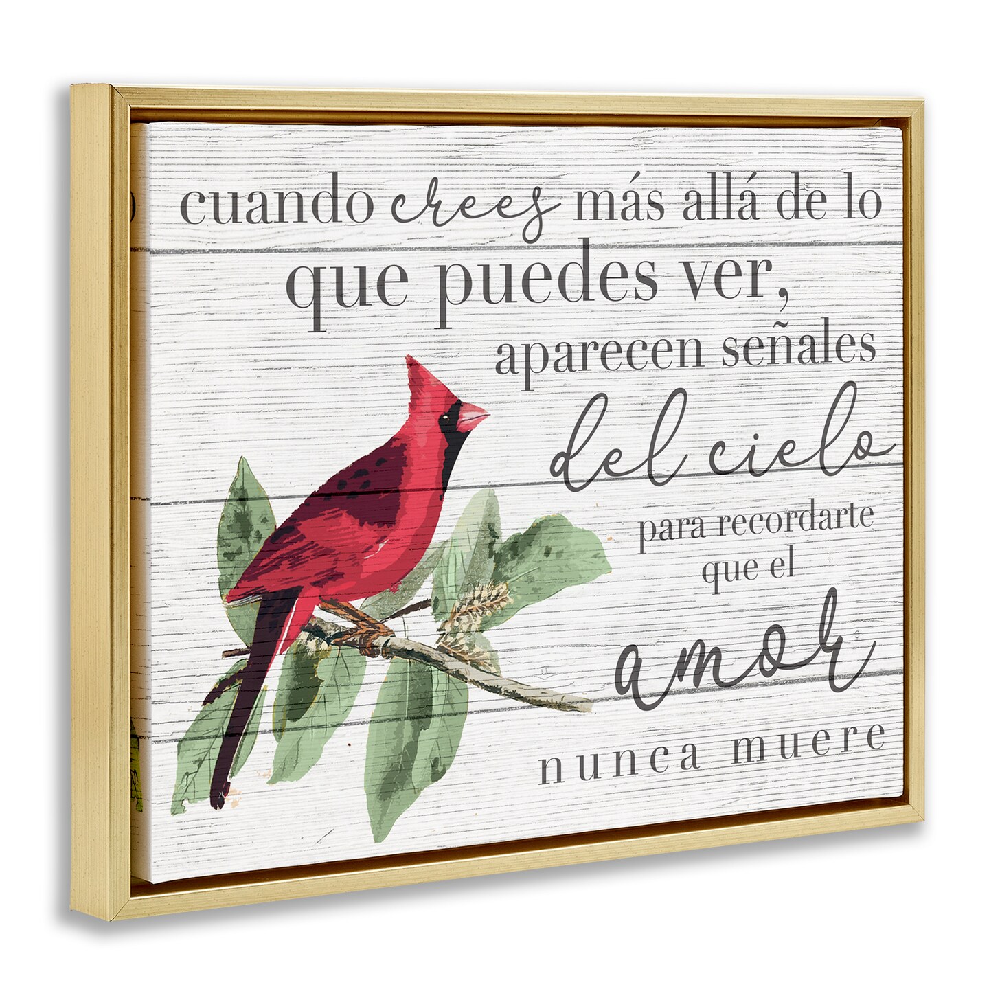 Stupell Industries Aparecen Se&#xF1;ales del Cielo Framed Floater Canvas Wall Art