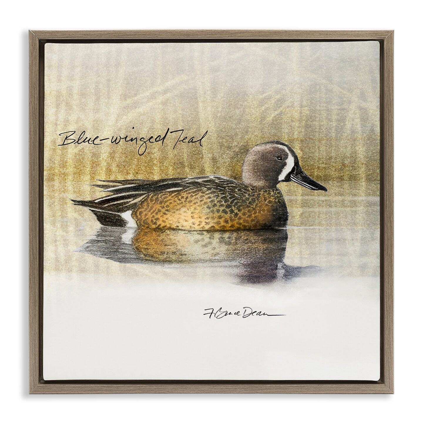 Stupell Industries Blue Winged Teal Duck Framed Floater Canvas Wall Art Design by Jadei Graphics