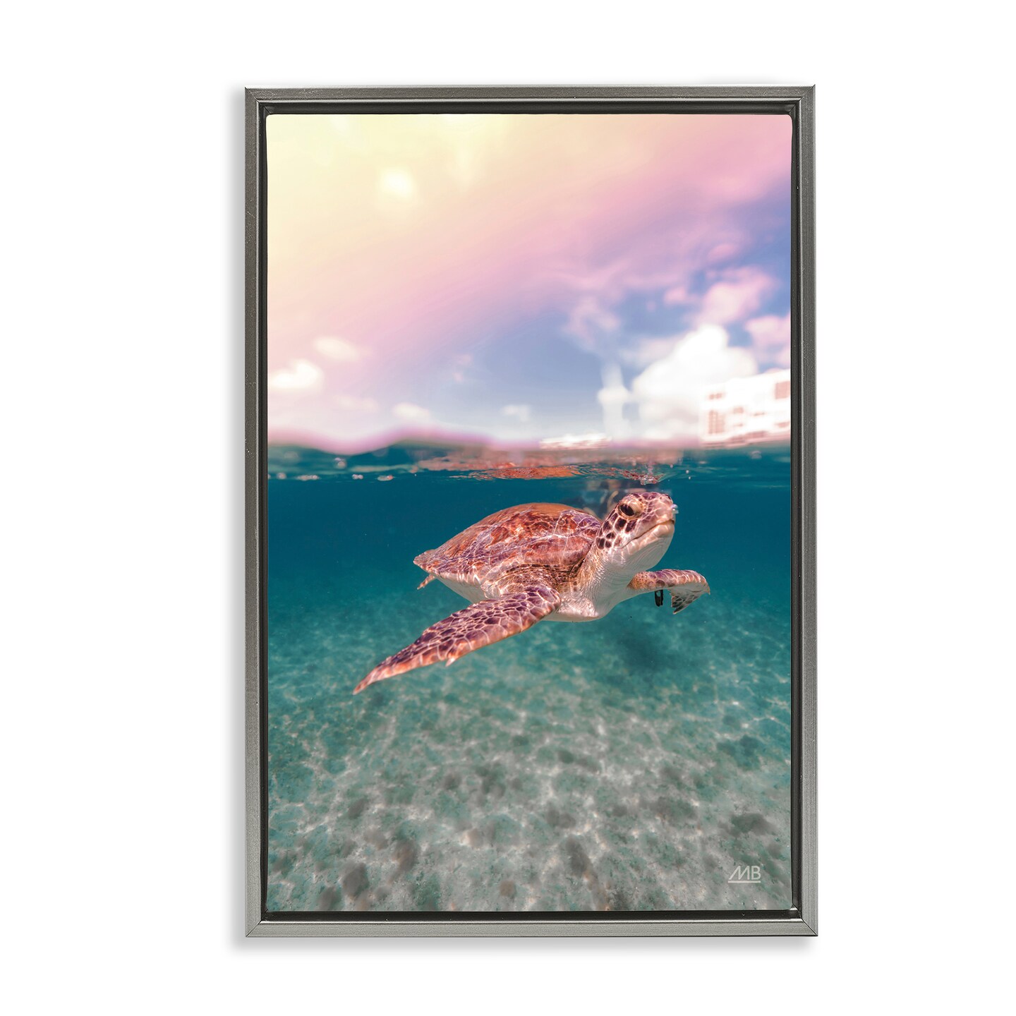Stupell Industries Above & Below Sea Turtle Framed Floater Canvas Wall Art Design by Max Blakesberg Studios