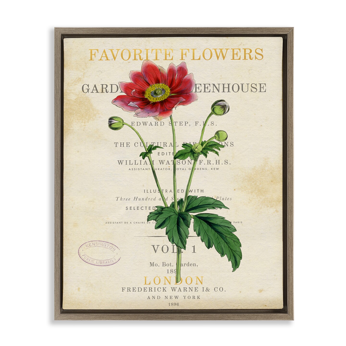 Stupell Industries Garden Greenhouse Vintage Flower Floating Frame By Susan Arnot