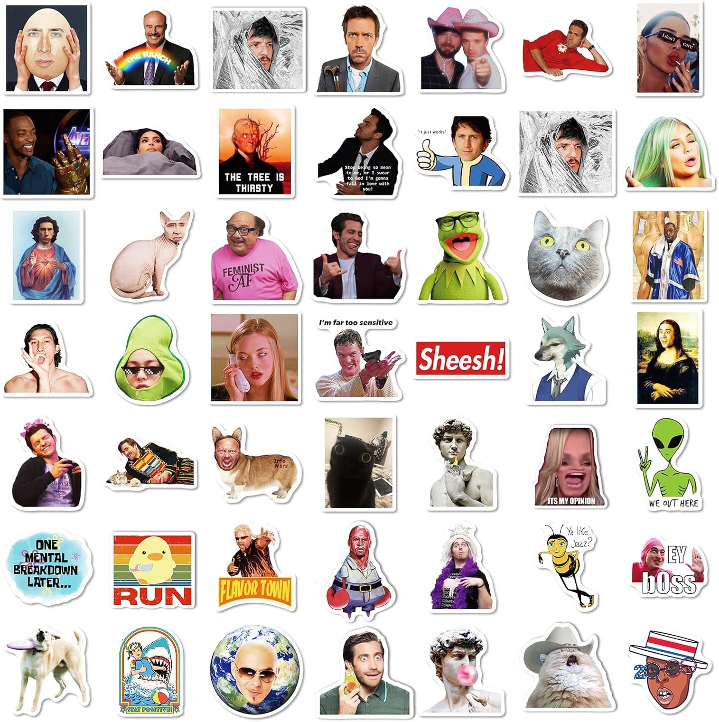 Meme Stickers 300 PCS - Funny Vinyl Stickers for Adults