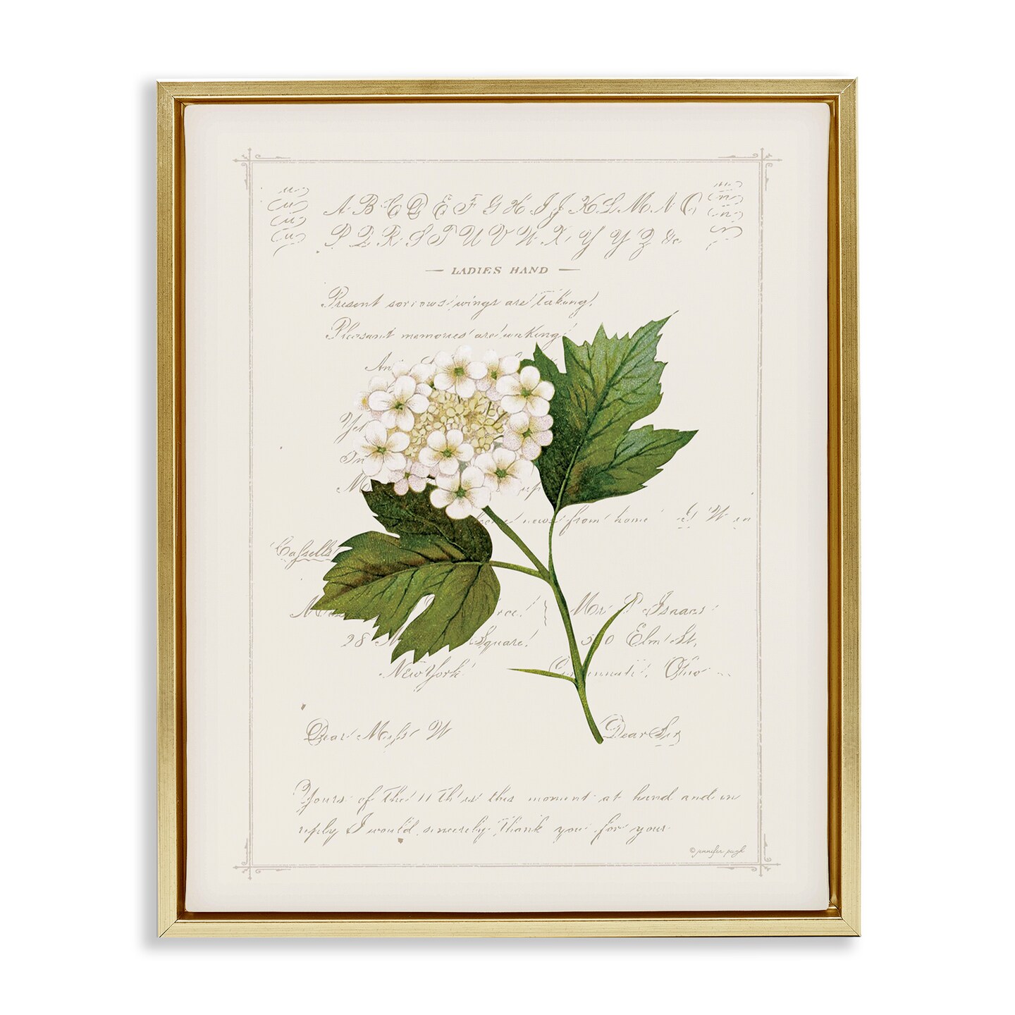 Stupell Industries Vintage Florals And Script Floating Frame By Jennifer Pugh