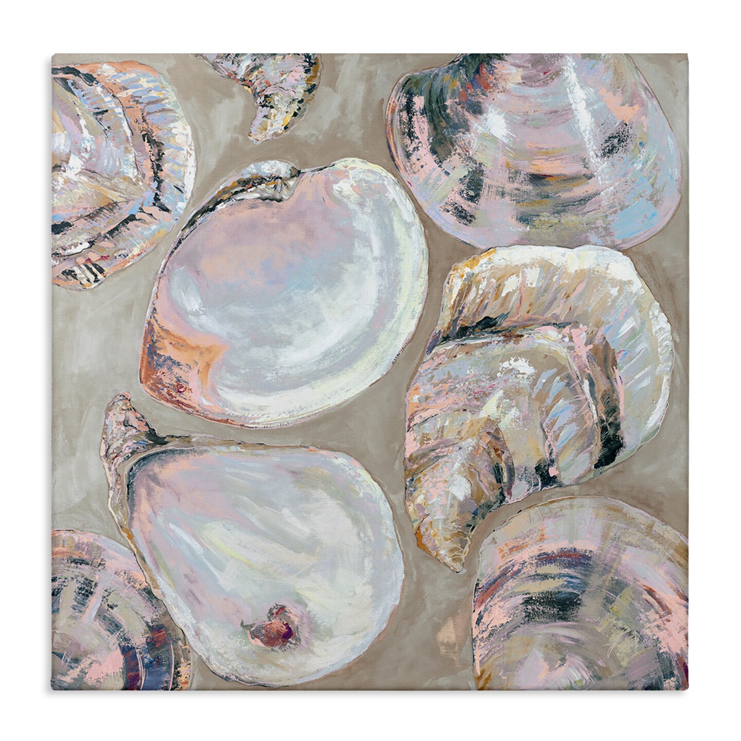 Stupell Industries Summer Seashells in Subtle Pink Canvas By Jeanette Vertentes
