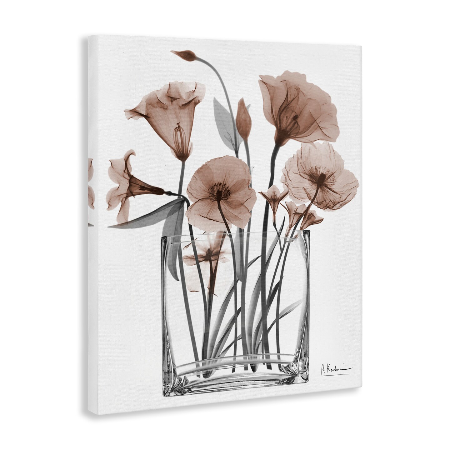 Stupell Industries Opaque Mocha Flowers Canvas By Albert Koetsier