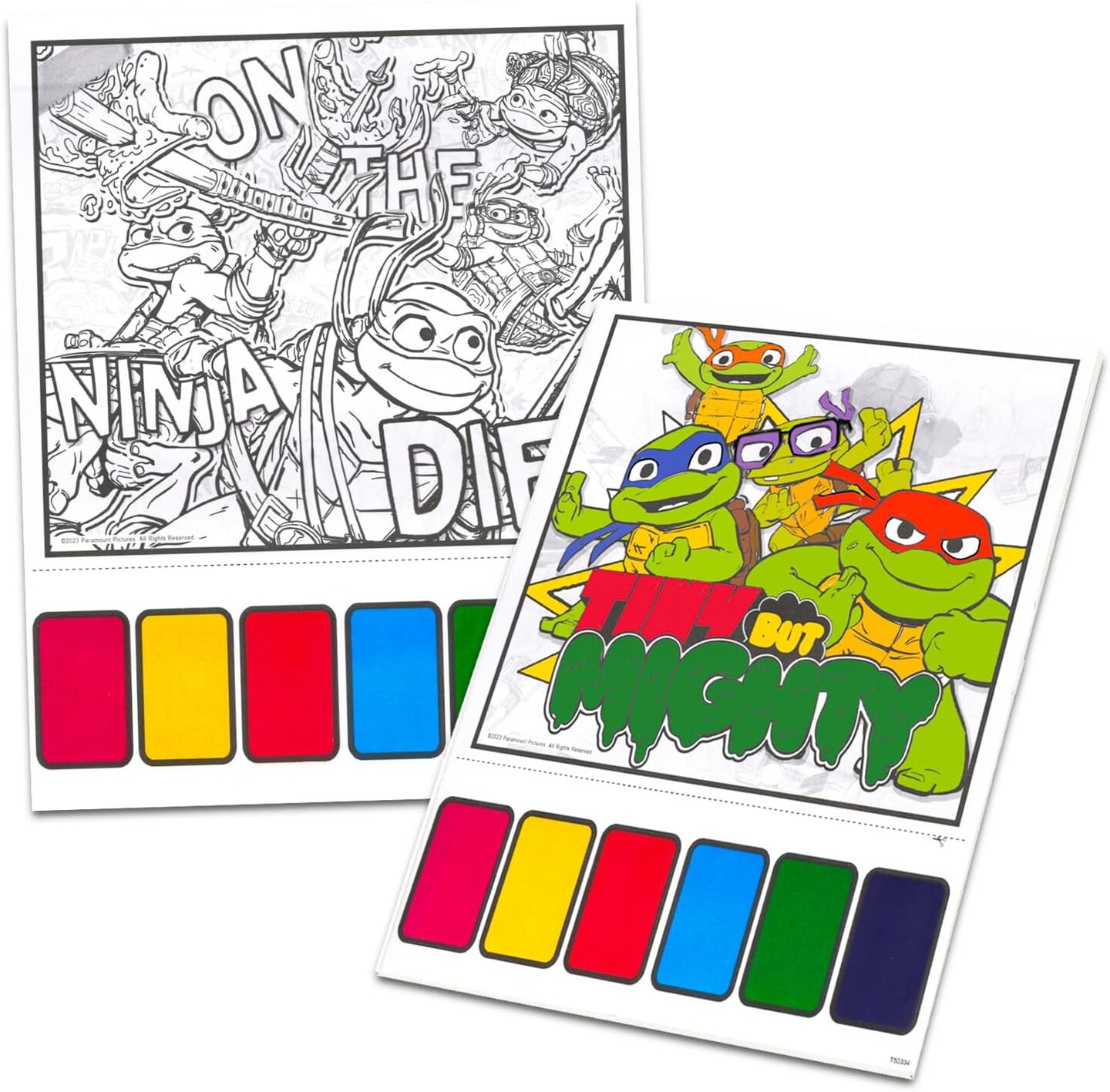 Teenage Mutant Ninja Turtles Paint with Water, Watercolor Painting Activity