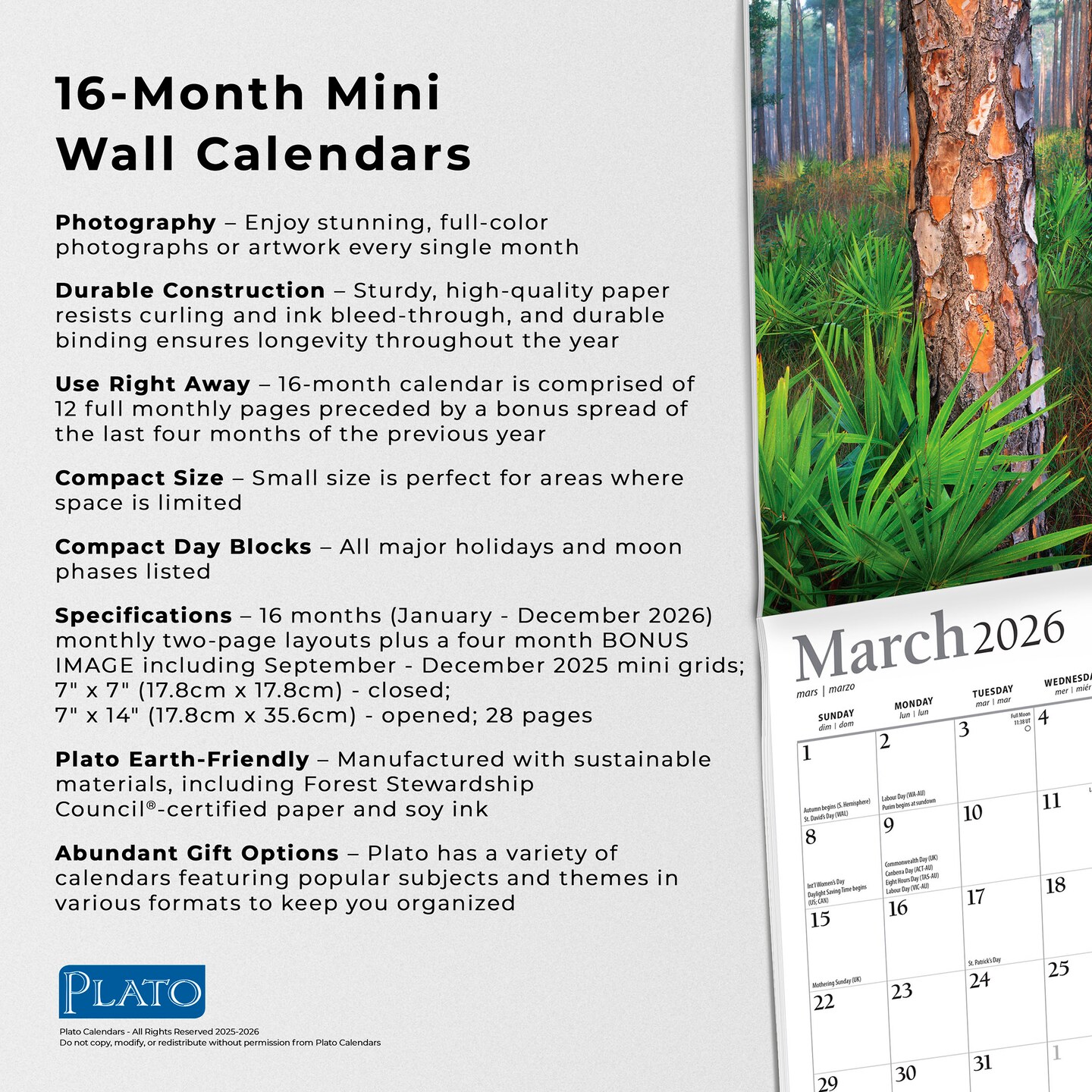 National Parks | 2026 7 x 14 Inch (Hanging) Monthly Mini Wall Calendar | Foil Stamped Cover