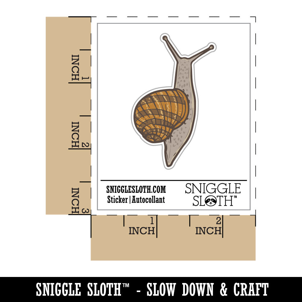 Water Bottle Sticker Set Realistic Sticky Garden Snail Crawling Cute Waterproof Vinyl Stickers Pack Decal, Skateboard, Laptop, Car, Window, Bumper - 5 Pack