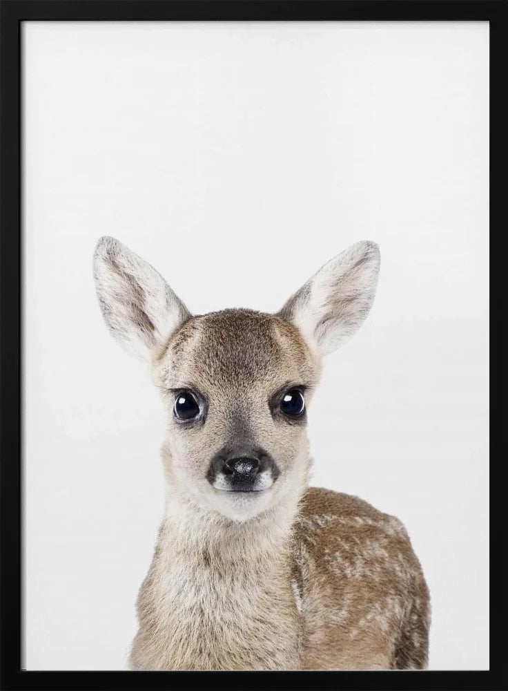 Framed Art Print of Baby Deer by Kathrin Pienaar - 24x36 Wall Decor for Home or Office