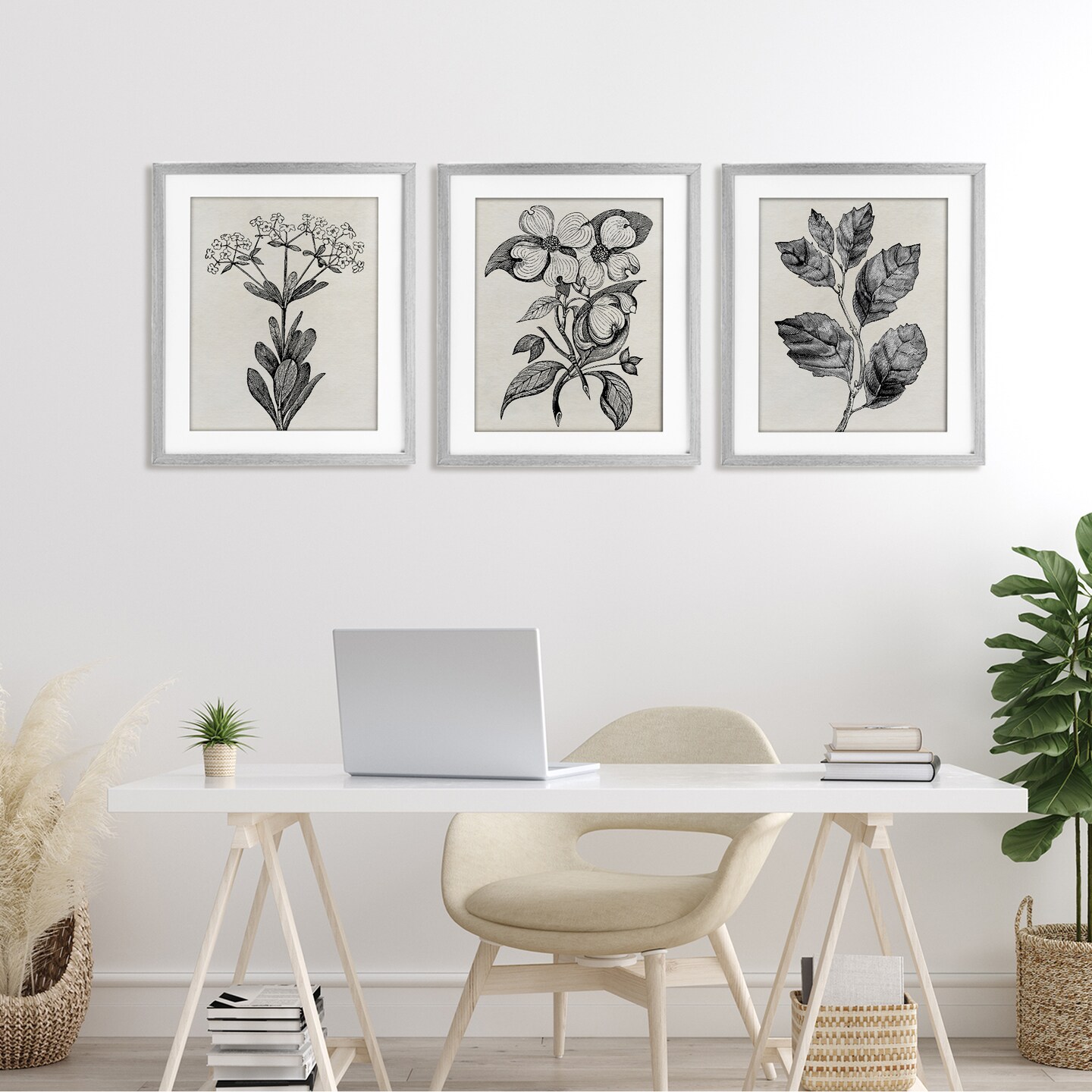 Stupell Industries Classic Natural Botanicals 3pc Framed Print Under Glass Set, design by Karen Smith