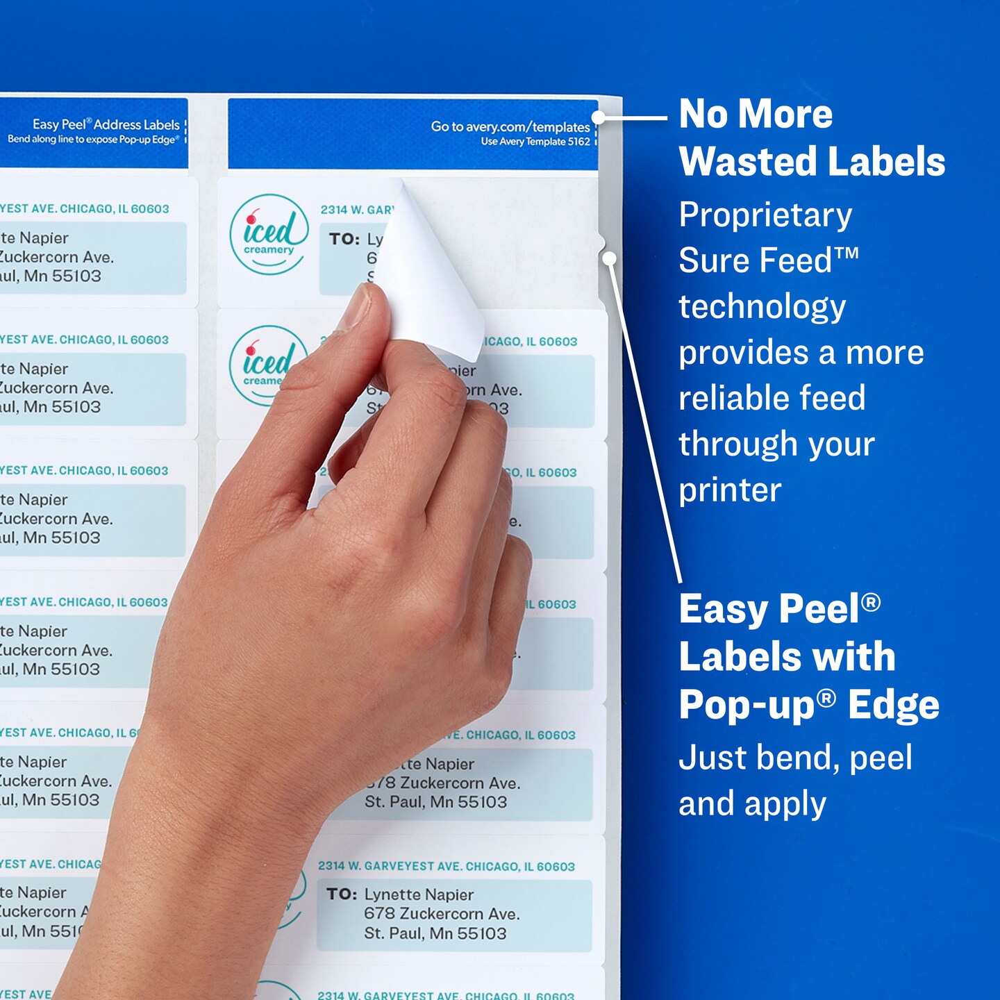 Avery White Address Labels with Permanent Adhesive, Sure Feed, 3 Sizes: 1&#x22;x 2 5/8&#x22; (300 Labels,18160), 2&#x22;x 4&#x22; (100 Labels,18163), 2/3&#x22;x 1 3/4&#x22; (600 Labels,18294), 1 Pack of Each, 1,000 Labels Total