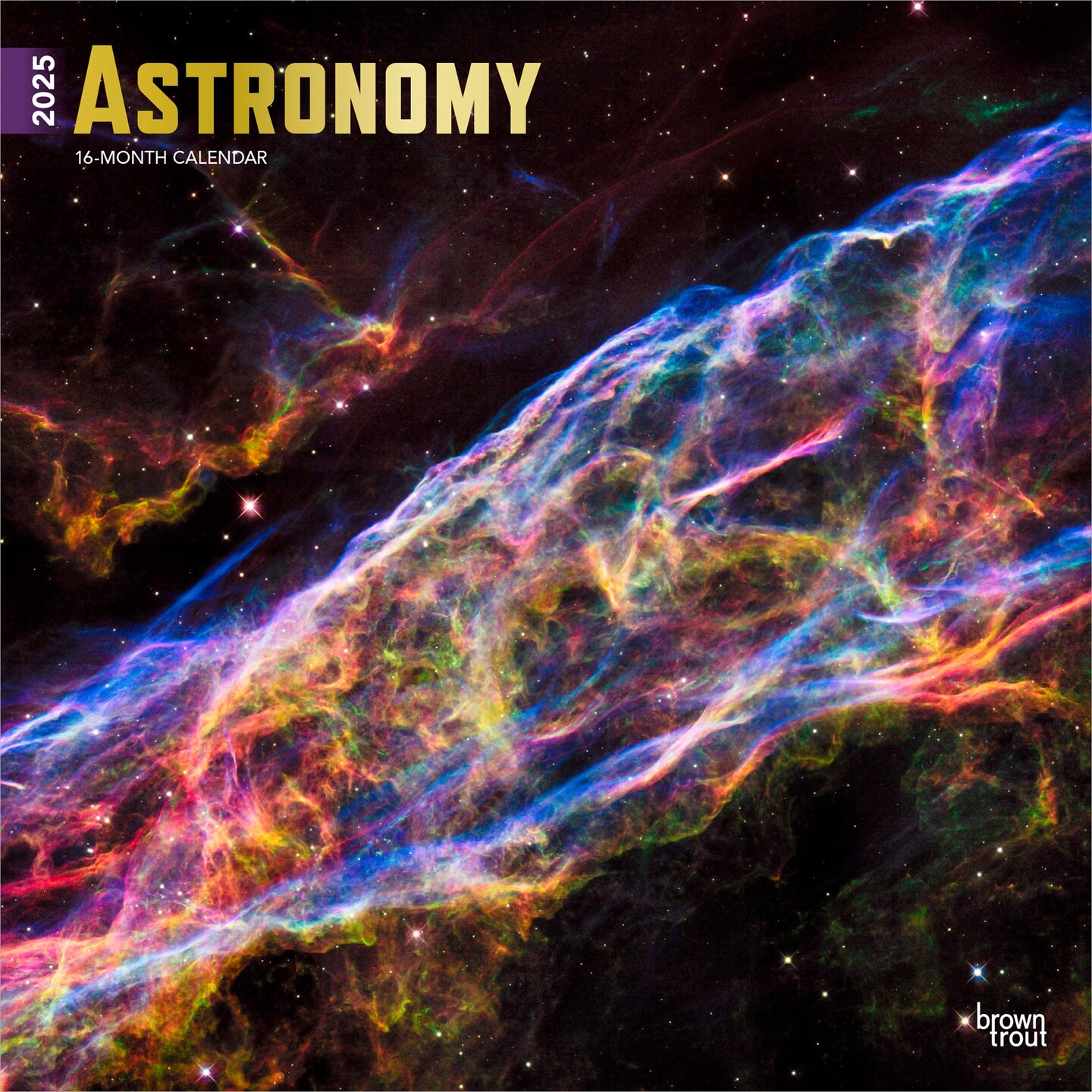 Astronomy | 2025 12 x 24 Inch Monthly Square Wall Calendar | Foil Stamped Cover | Plastic-Free | BrownTrout | Universe Space Nasa Hubble Telescope