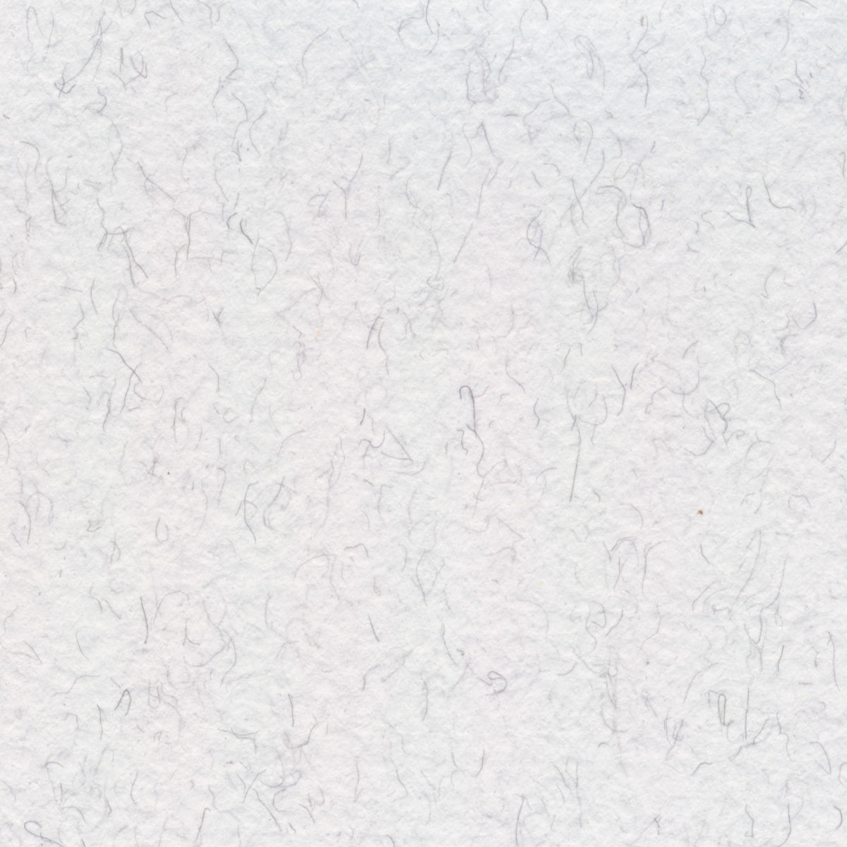 BEE | Pastel Paper Series