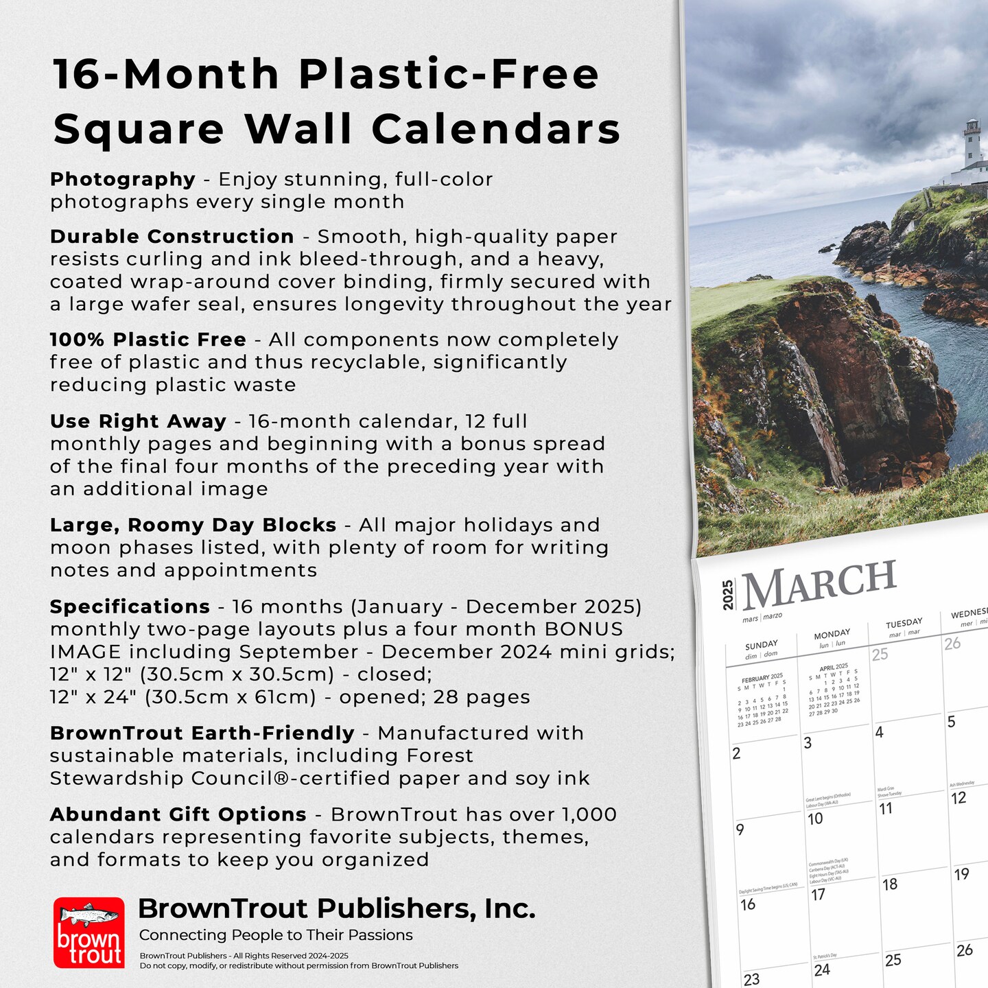 Ireland | 2025 12 x 24 Inch Monthly Square Wall Calendar | Plastic-Free | BrownTrout | Scenic Travel Dublin Irish