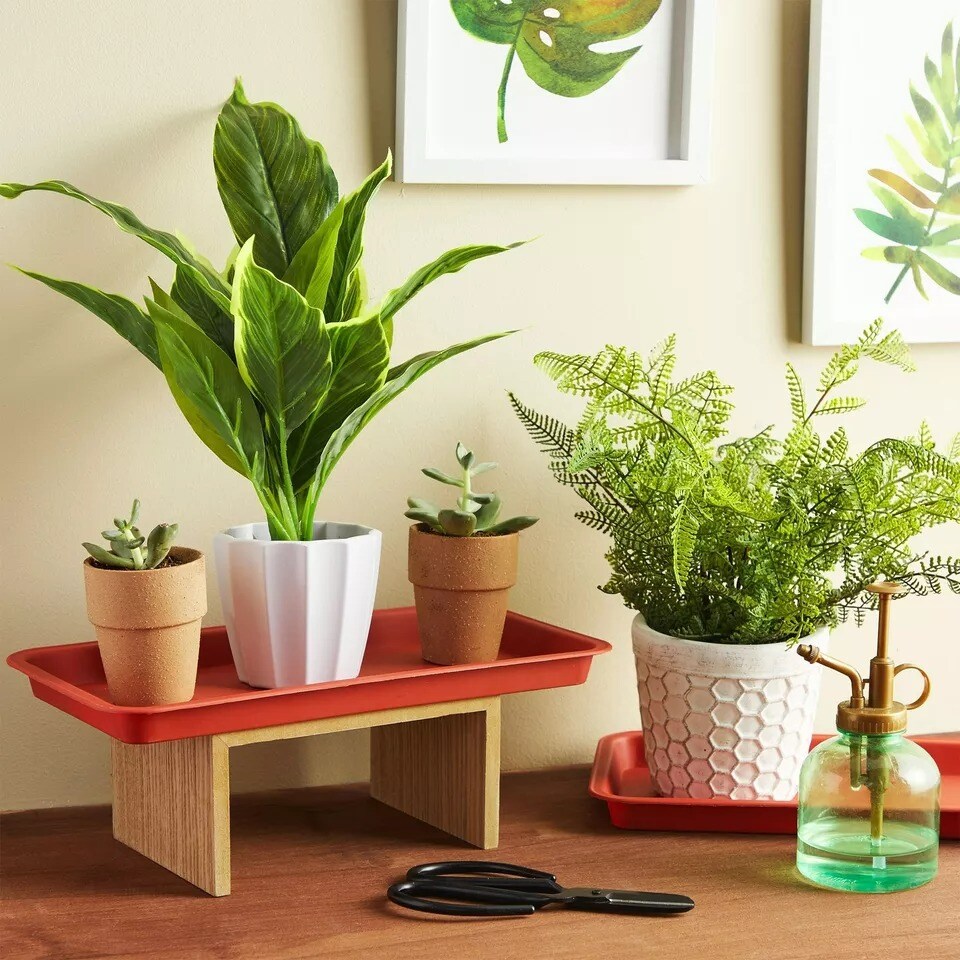 8 Pk Plastic Plant Drip Trays, Red Saucers for Pots, Outdoors, Indoors, 6.5x12&#x22;
