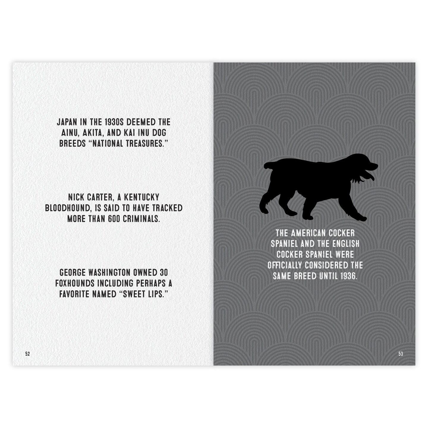 Dog Trivia: Over 200 Pawsome Canine Facts for Dog Lovers Softcover Book