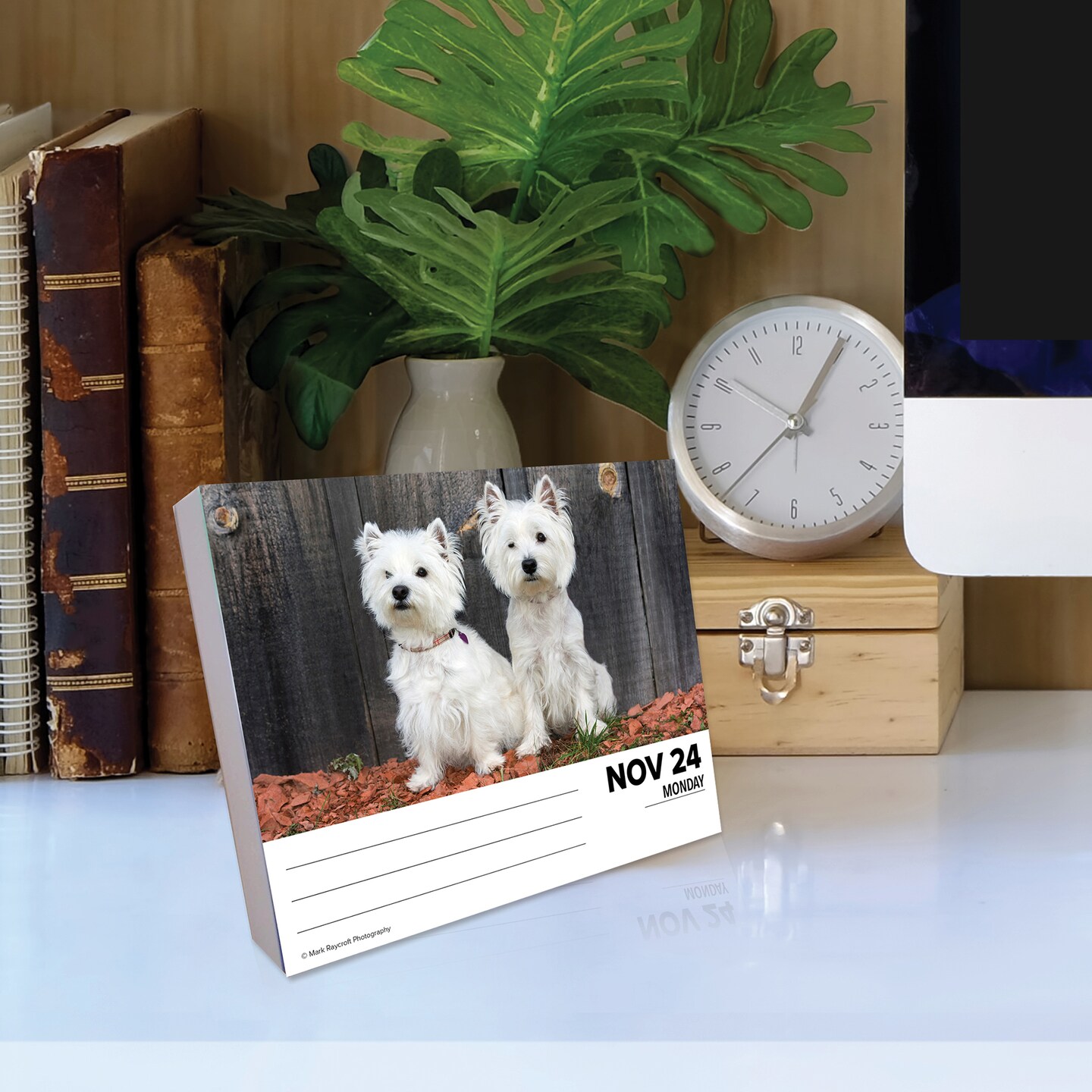 Just Westies 2025 Box Calendar - Dog Breed Daily Desktop
