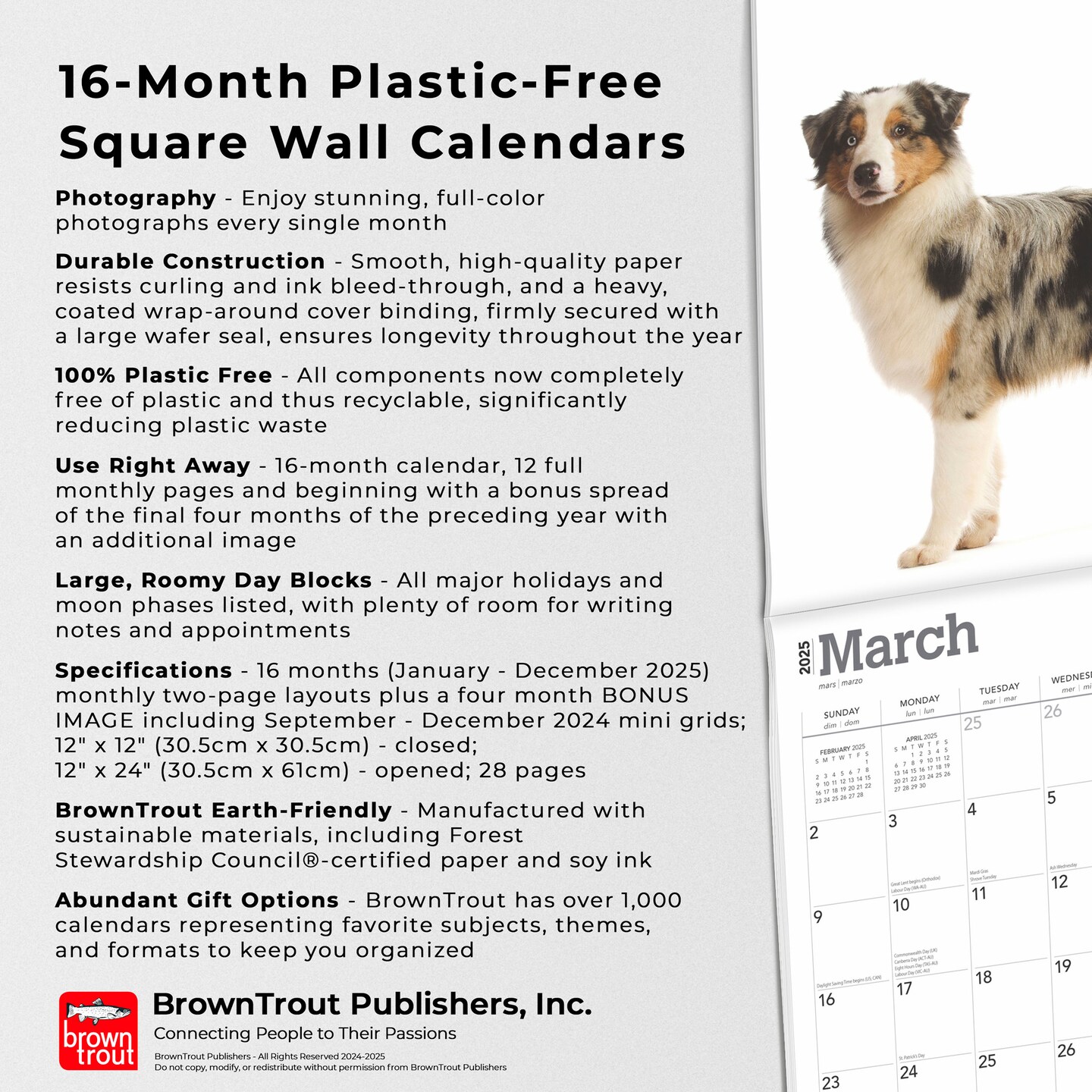 Australian Shepherds | 2025 12 x 24 Inch Monthly Square Wall Calendar | Plastic-Free | BrownTrout | Animals Dog Breeds