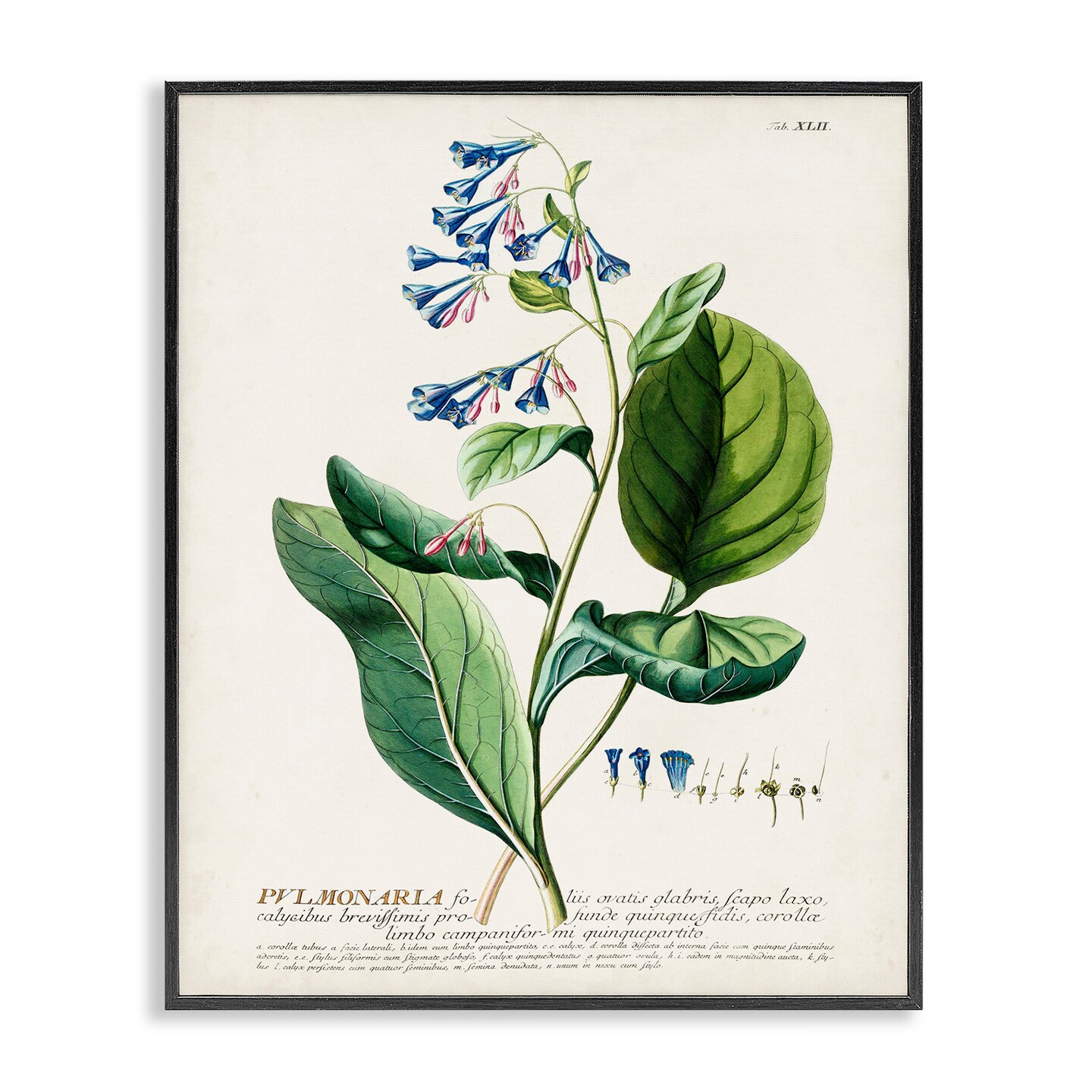 Stupell Industries Botanical Blue Flowers Vintage Design Framed Giclee Art