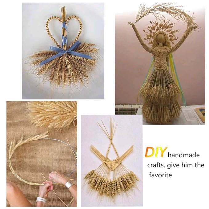 100 Pieces of Dried Wheat Sheaves Bundle Golden Natural Wheat Bouquet Bunch Dried Flowers Arrangement for Fall Farmhouse DIY Design Home Table Wedding Party Centerpieces Decor (16")
