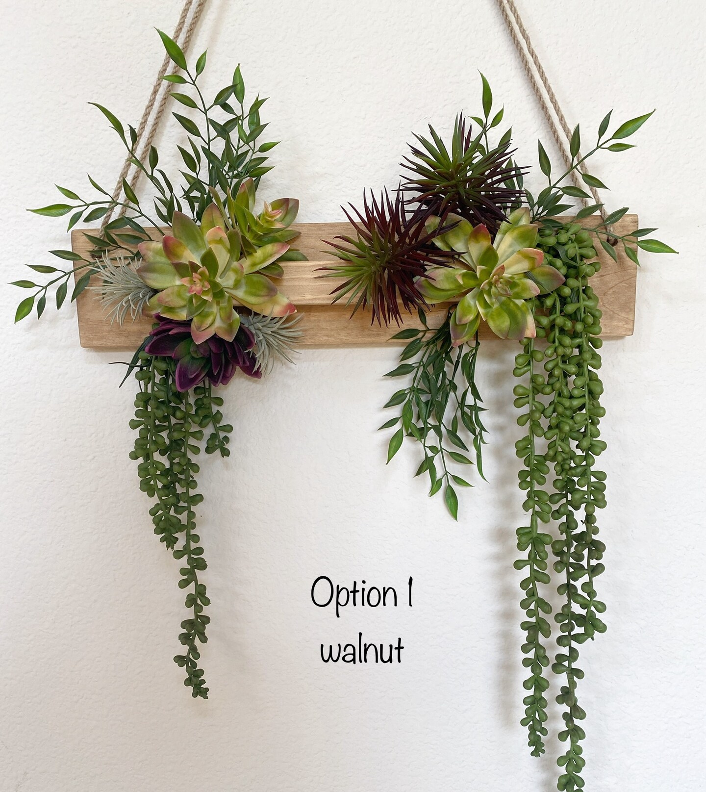 stick succulent Dwarf Blue Chalk Sticks - 1 Gallon