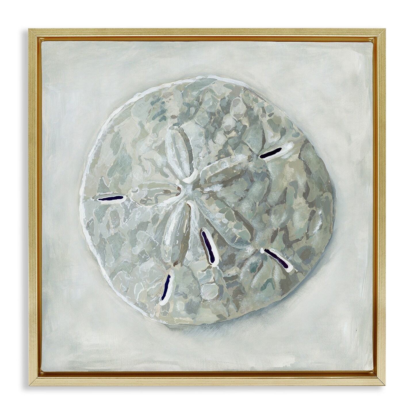 Stupell Industries Grey Sand Dollar Seashell Framed Floater Canvas Wall Art