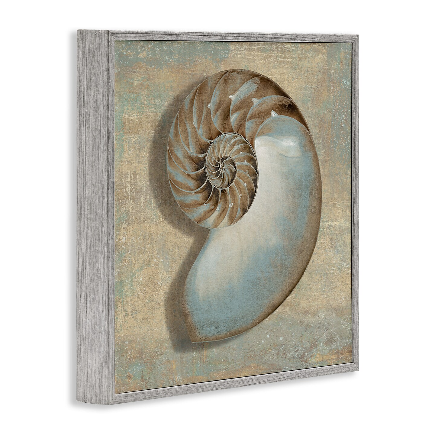 Stupell Industries Shell Beach Objects Design Framed Giclee Art
