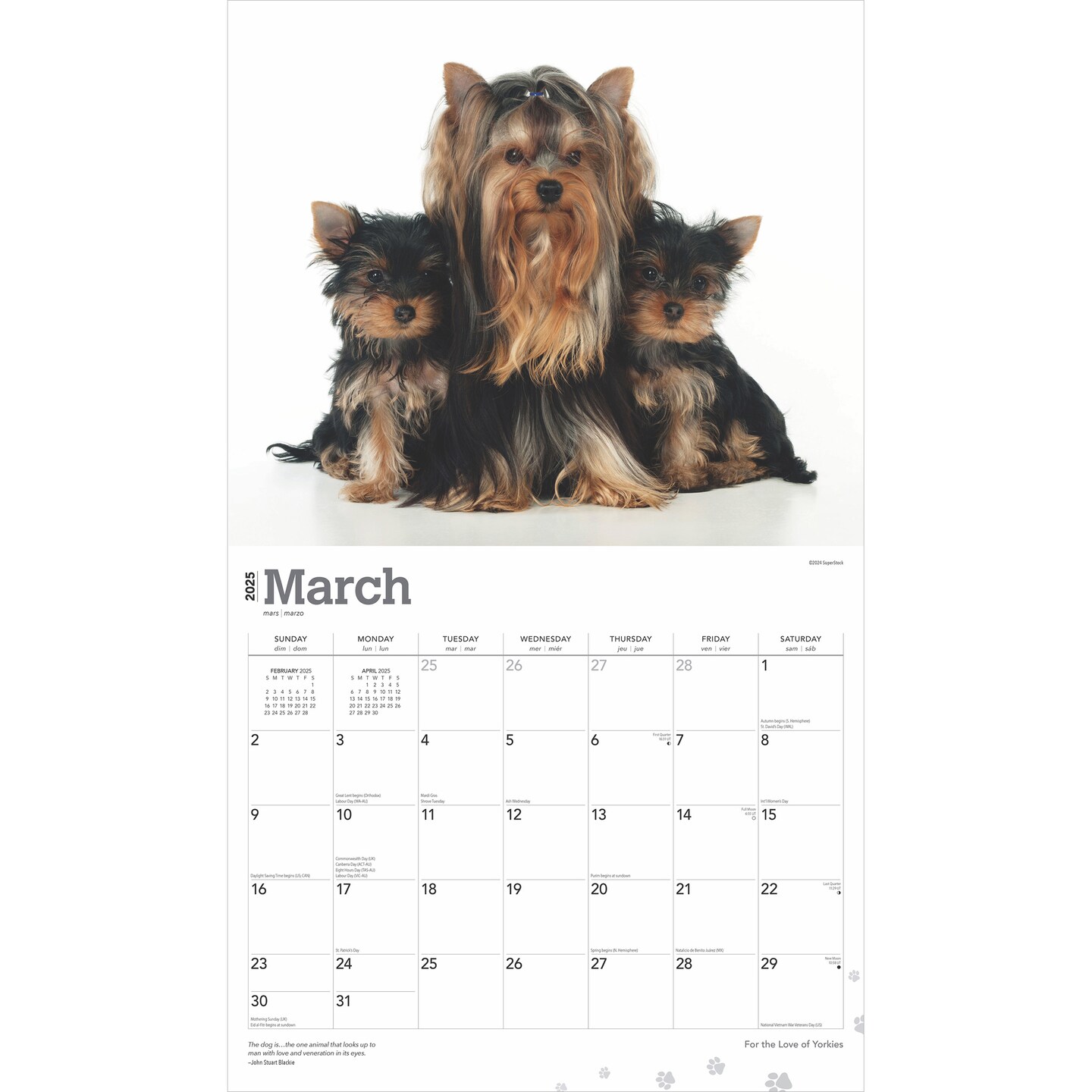 For the Love of Yorkshire Terriers | 2025 14 x 24 Inch Monthly Deluxe Wall Calendar | Foil Stamped Cover | Plastic-Free | BrownTrout | Animal Small Dog Breeds