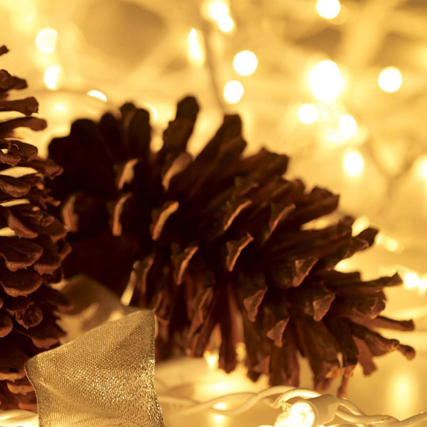 Christmas Lights 100 Count Mini Clear Lights 32ft White Wire Christmas Tree String Lights Set for Outdoor Indoor Christmas Decorations