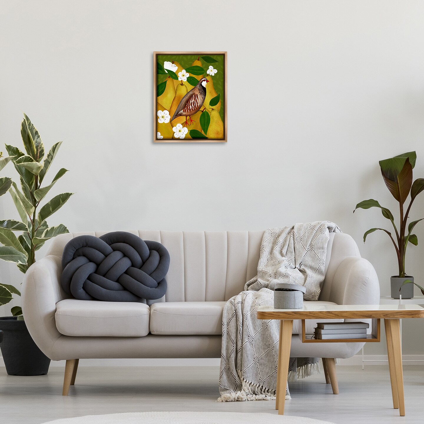 Stupell Industries Partridge Bird & Pears Floater Framed Canvas Wall Art Design by Michelle Ingari Designs