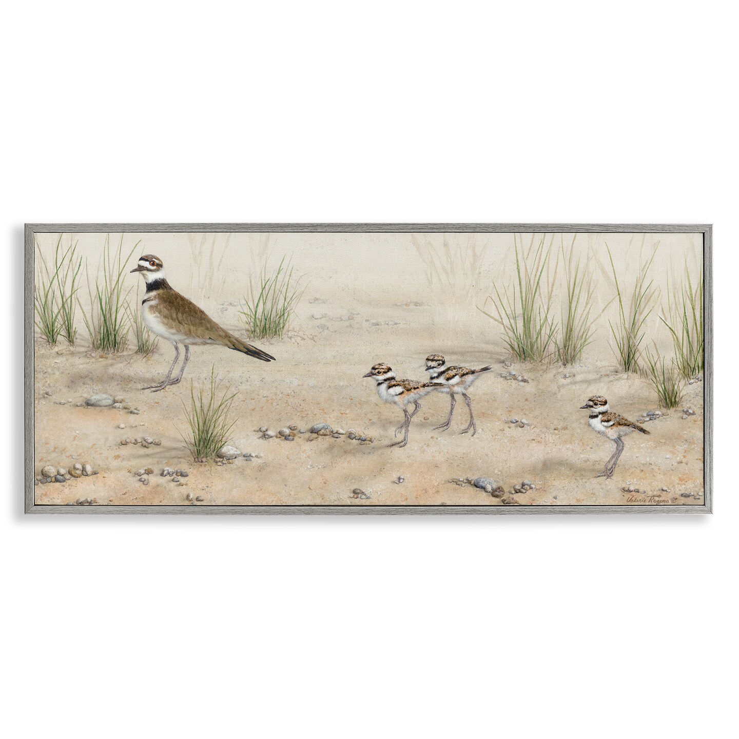 Stupell Industries Kildeer Birds Stepping Framed Giclee Wall Art Design by Valerie Rogers