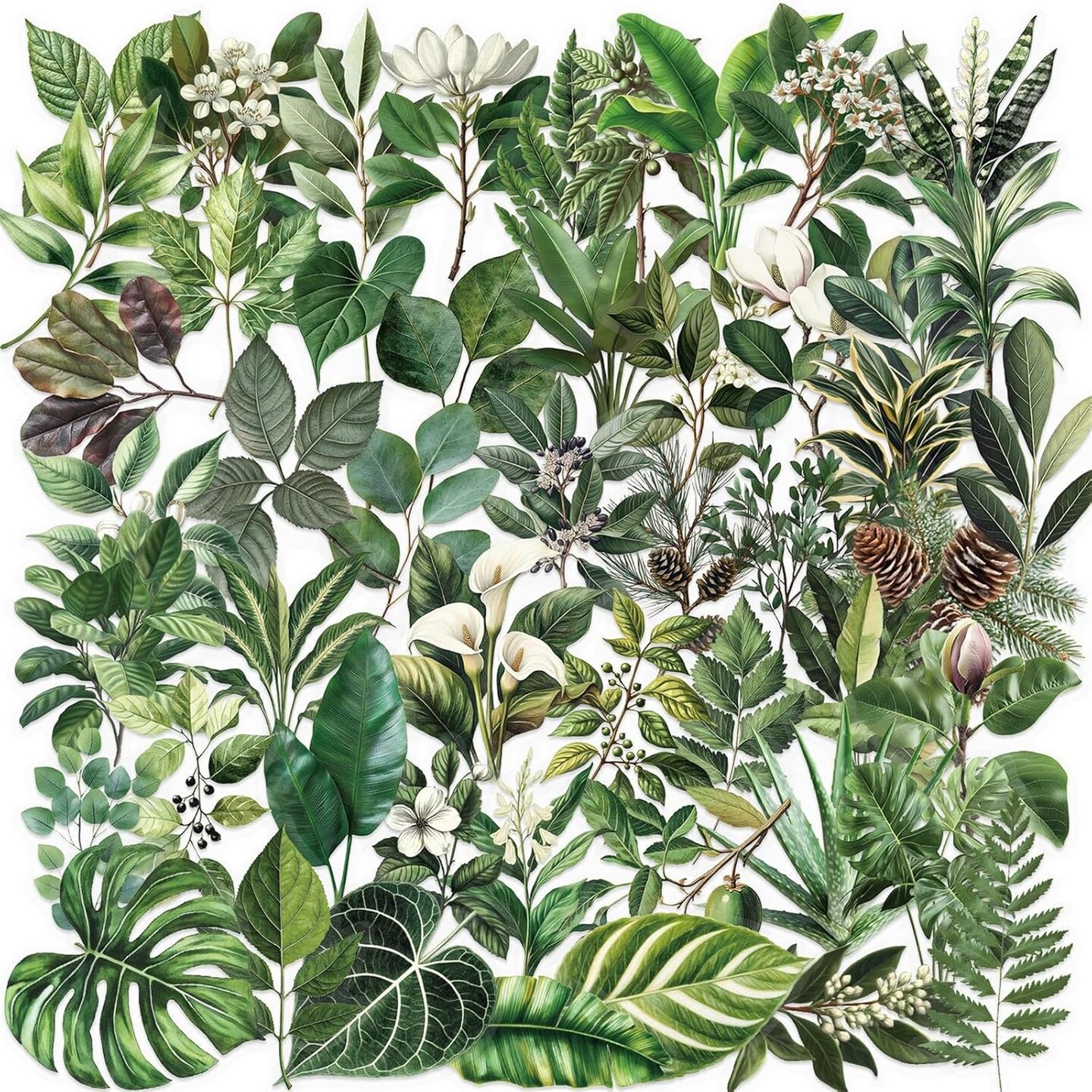 50PCS Transparent Green Leaf Stickers - Romance Floral Stickers Pack (Green)