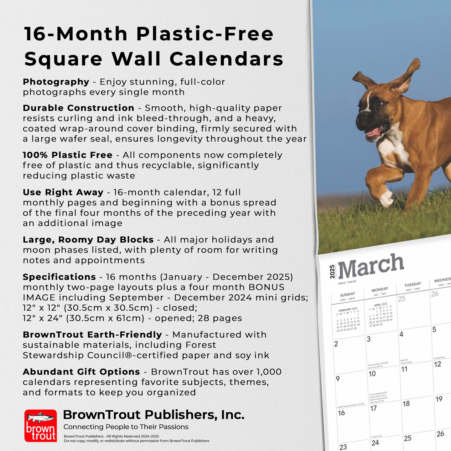 Boxer Puppies | 2025 12 x 24 Inch Monthly Square Wall Calendar | Plastic-Free | BrownTrout | Animals Dog Breeds Puppy