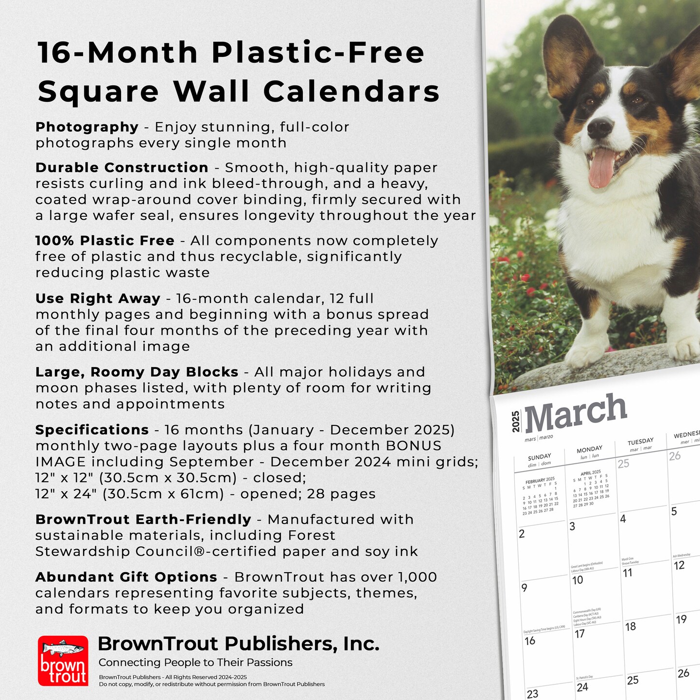 Welsh Corgis | 2025 12 x 24 Inch Monthly Square Wall Calendar | Plastic-Free | BrownTrout | Animals Dog Breeds