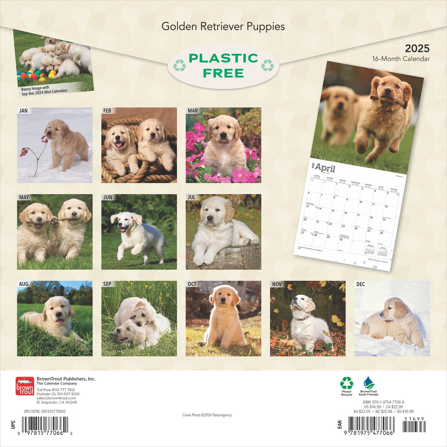 Golden Retriever Puppies | 2025 12 x 24 Inch Monthly Square Wall Calendar | Plastic-Free | BrownTrout | Animals Dog Breeds Puppy