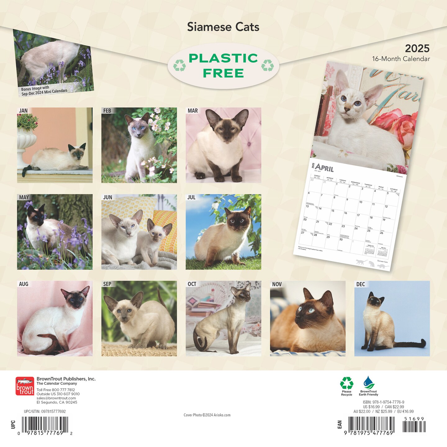 Siamese Cats | 2025 12 x 24 Inch Monthly Square Wall Calendar | Plastic-Free | BrownTrout | Animals Kittens Feline