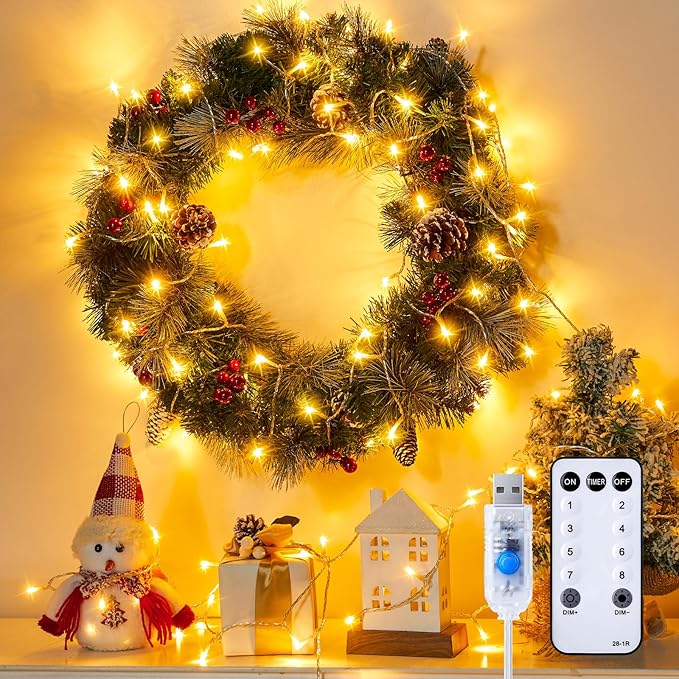 100 LED String Lights - 39.5 Ft USB Plug in Twinkle Fairy Lights with 8 Modes and Remote, Indoor String Lights for Bedroom Classroom Christmas Tree Party Wedding Decorations, Warm White