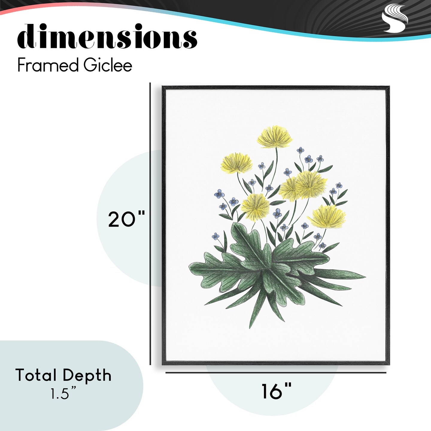 Stupell Industries Dandelion Flower Illustration Framed Giclee, design by Cecilia Battaini