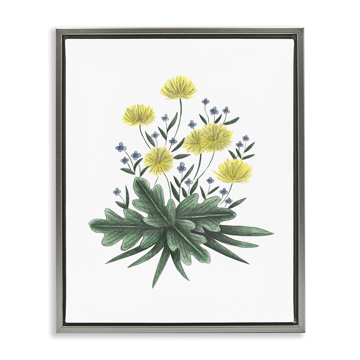 Stupell Industries Dandelion Flower Illustration Floating Frame, design by Cecilia Battaini