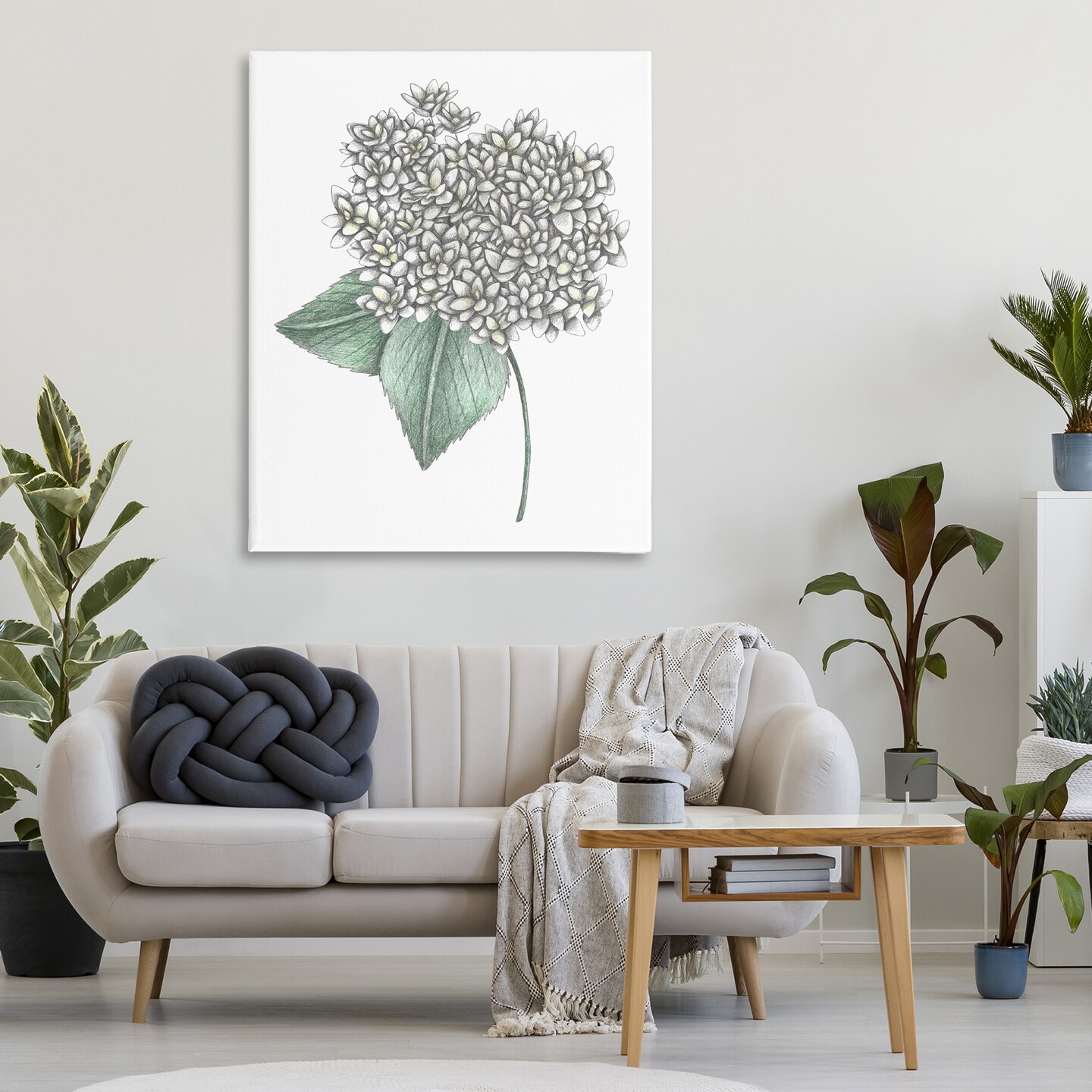 Stupell Industries White Hydrangea Sketch Blossom Canvas, design by Cecilia Battaini