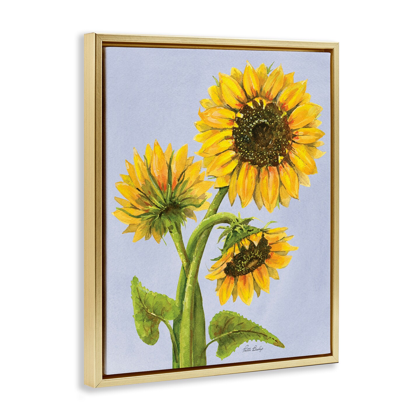 Stupell Industries Sunflower Trio Against Blue Floating Frame, design by Patti Bishop