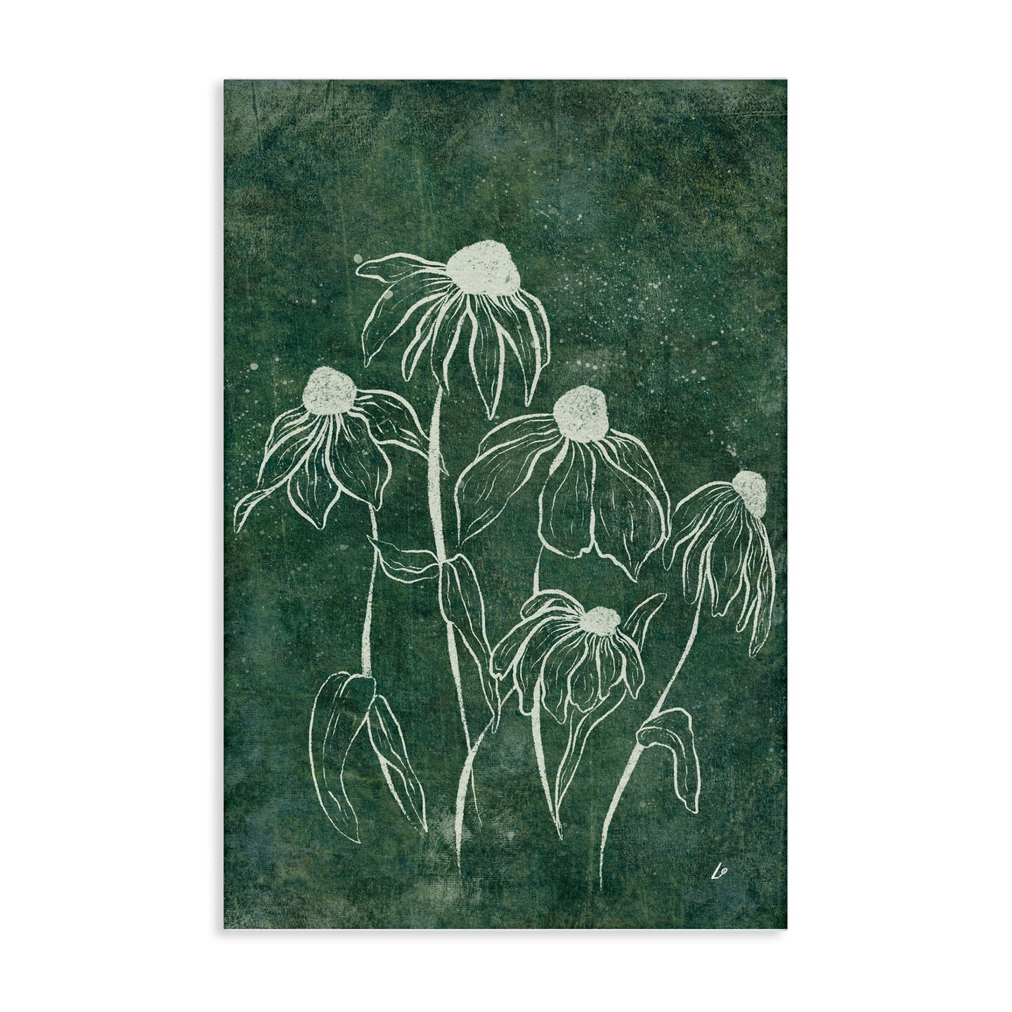 Stupell Industries Echinacea Garden Blooms Canvas Wall Art Design by Lydia Orange